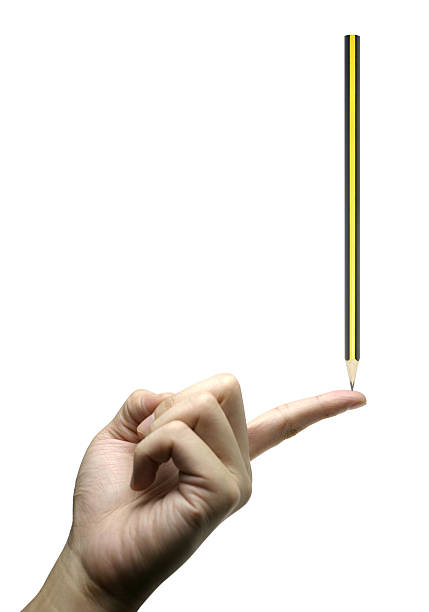 <IPython.core.display.Image object>